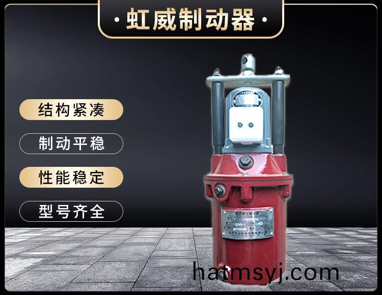 YT1係列電力液壓(ya)推動器